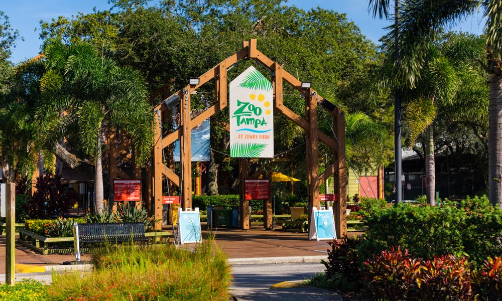August,23.,2019.,Zootampa,At,Lowry,Park,Is,A,Nonprofit